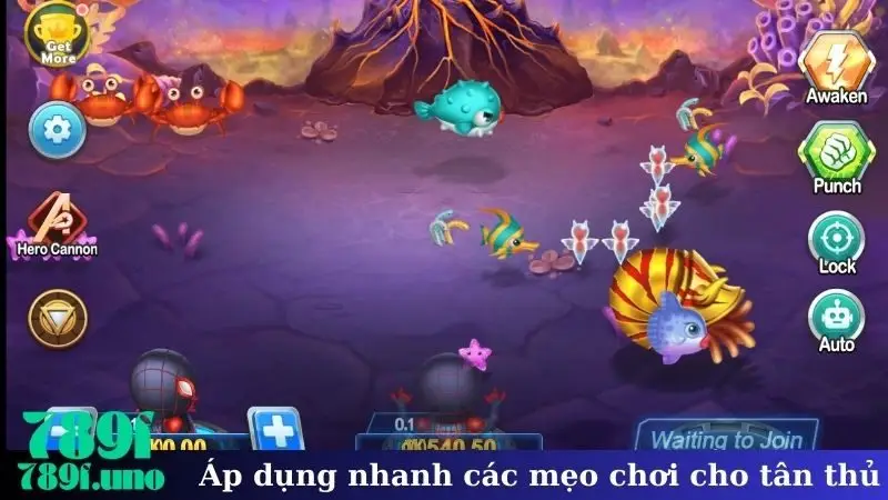Áp dụng nhanh các mẹo chơi cho tân thủ 789F