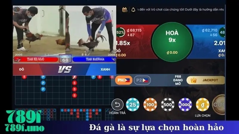 Đá gà là sự lựa chọn hoàn hảo