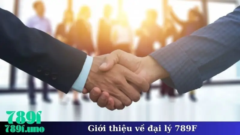 Giới thiệu về đại lý 789F