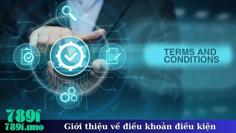 Giới thiệu về điều khoản điều kiện