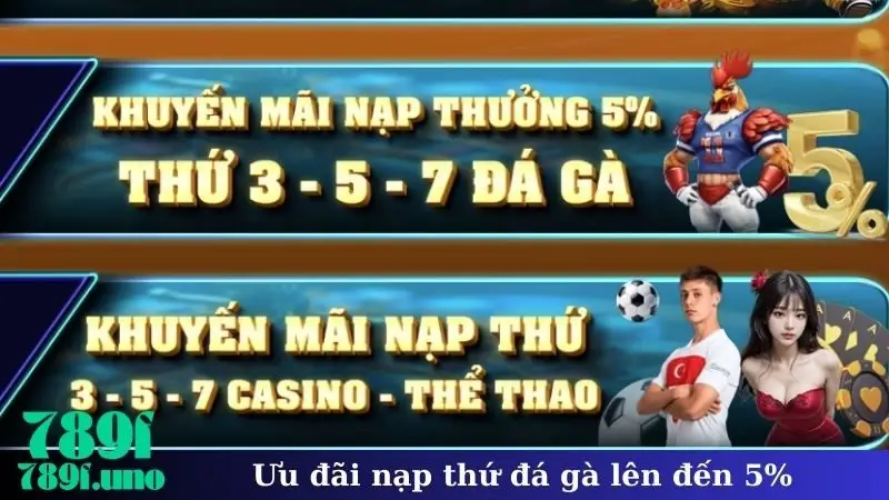 Ưu đãi nạp thứ đá gà lên đến 5%